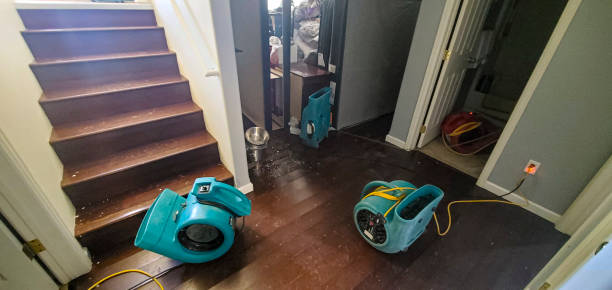 Best Emergency water damage restoration  in Redwood, TX