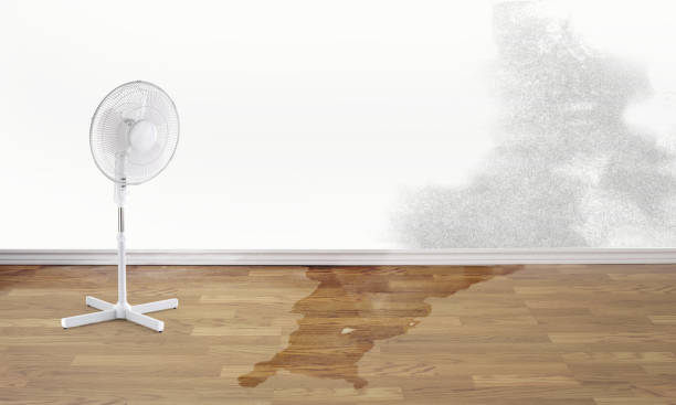 Water damage restoration process in Redwood, TX
