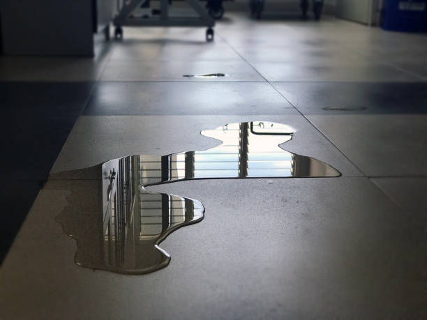 Best Water damage cleanup near me  in Redwood, TX