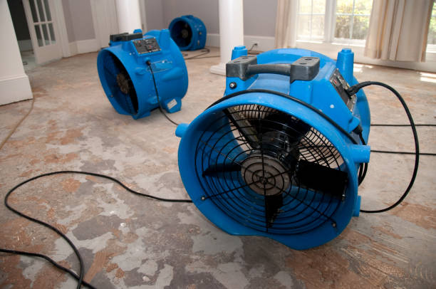 Best Flood damage cleanup  in Redwood, TX