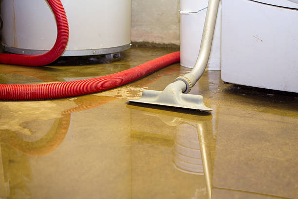 Best Flood damage cleanup  in Redwood, TX